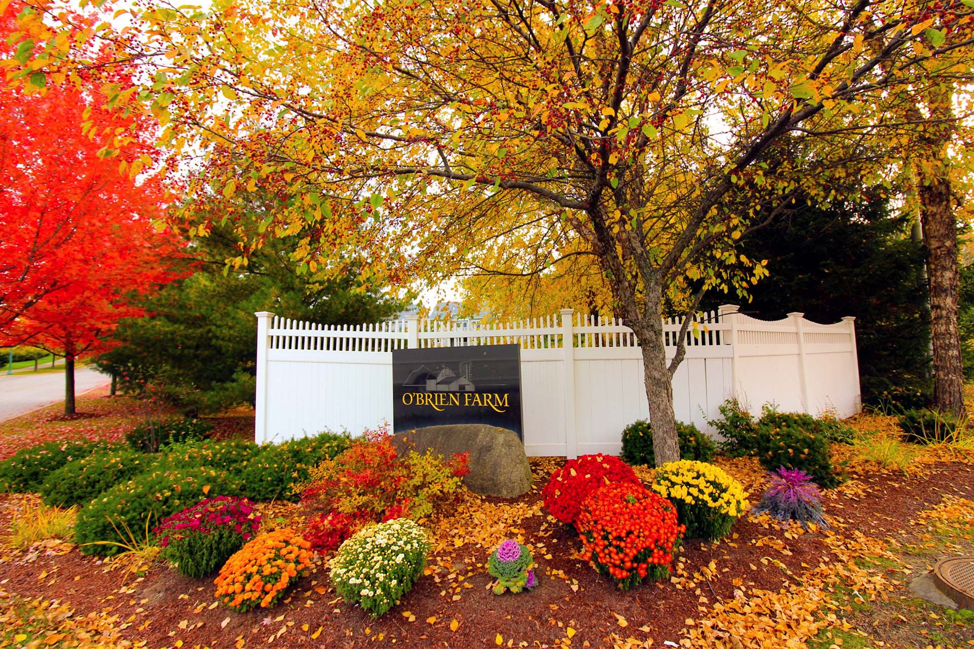 OBrien farm in the fall