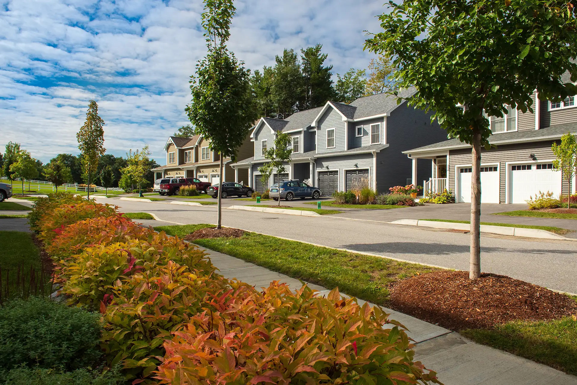 neighborhood street with garage homes and colorful autumn shrubs