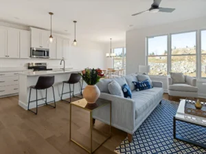 staged open plan gray sofa white kitchen blue rug large window